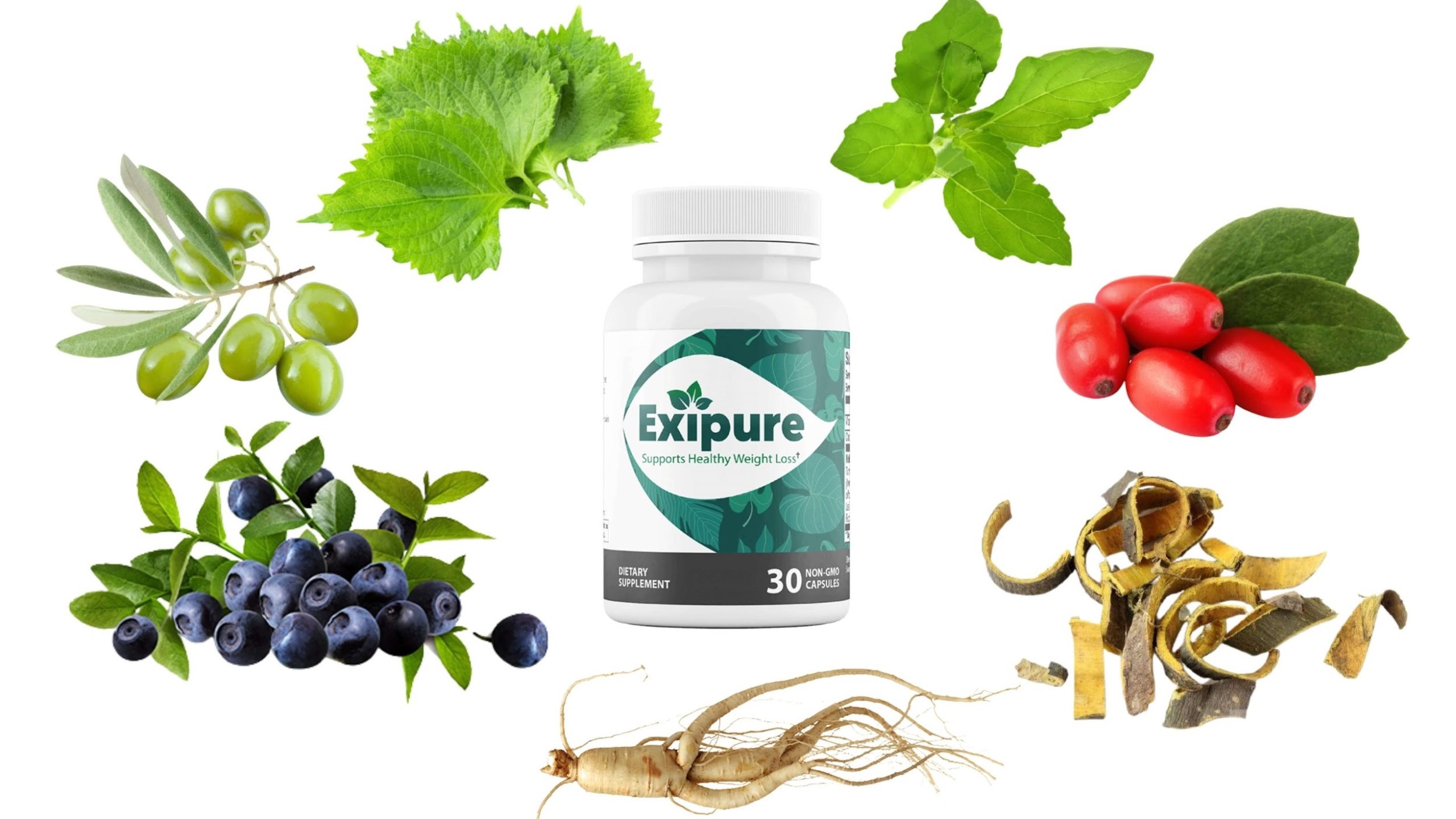 Exipure Supplement Facts